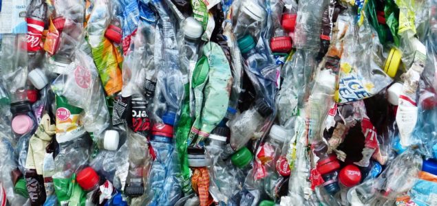 Responsible Plastic Use Coalition v Canada (Environment and Climate Change), 2023 FC 1511