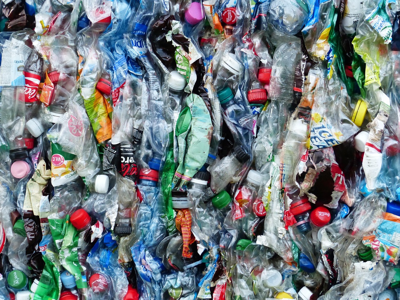 Responsible Plastic Use Coalition v Canada (Environment and Climate Change), 2023 FC 1511